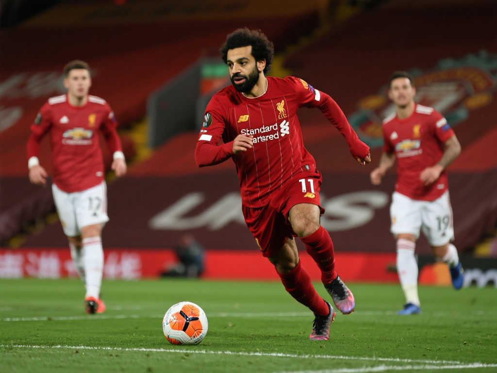 经验丰富的 经验丰富的